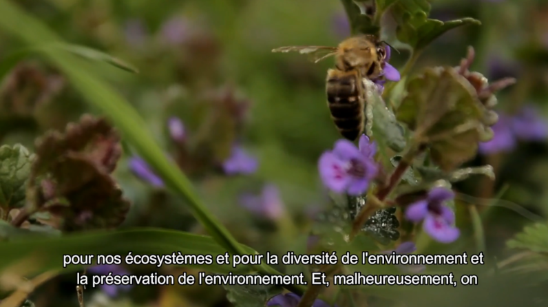 La biodiversité est essentielle